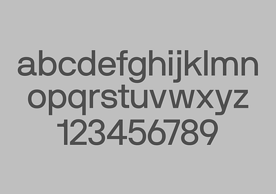 A10 Typography branding design graphic design icon illustration marcoriolserra minimal ui vector vectorillustration