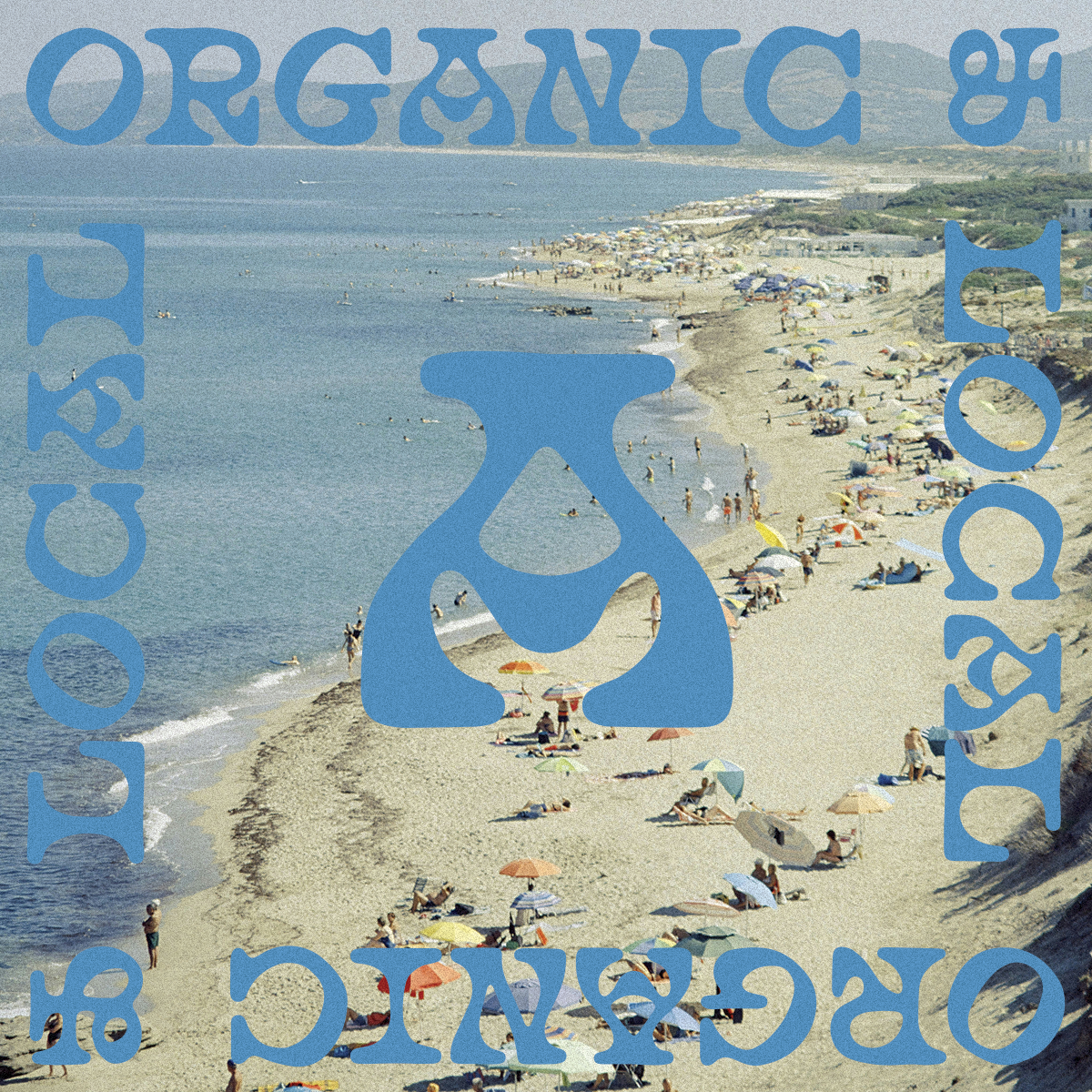 Organic & Local - MC Sunshine alternative art direction branding california design font font design fonts graphic design hippie independent indie local logo organic small business type type design typography wordmark