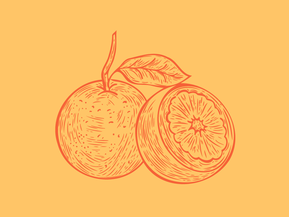 Orange Line Art Illustration by Jen Borror Hoot Design Studio on Dribbble