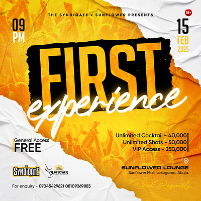 Party Flyer graphic design party flyer social media