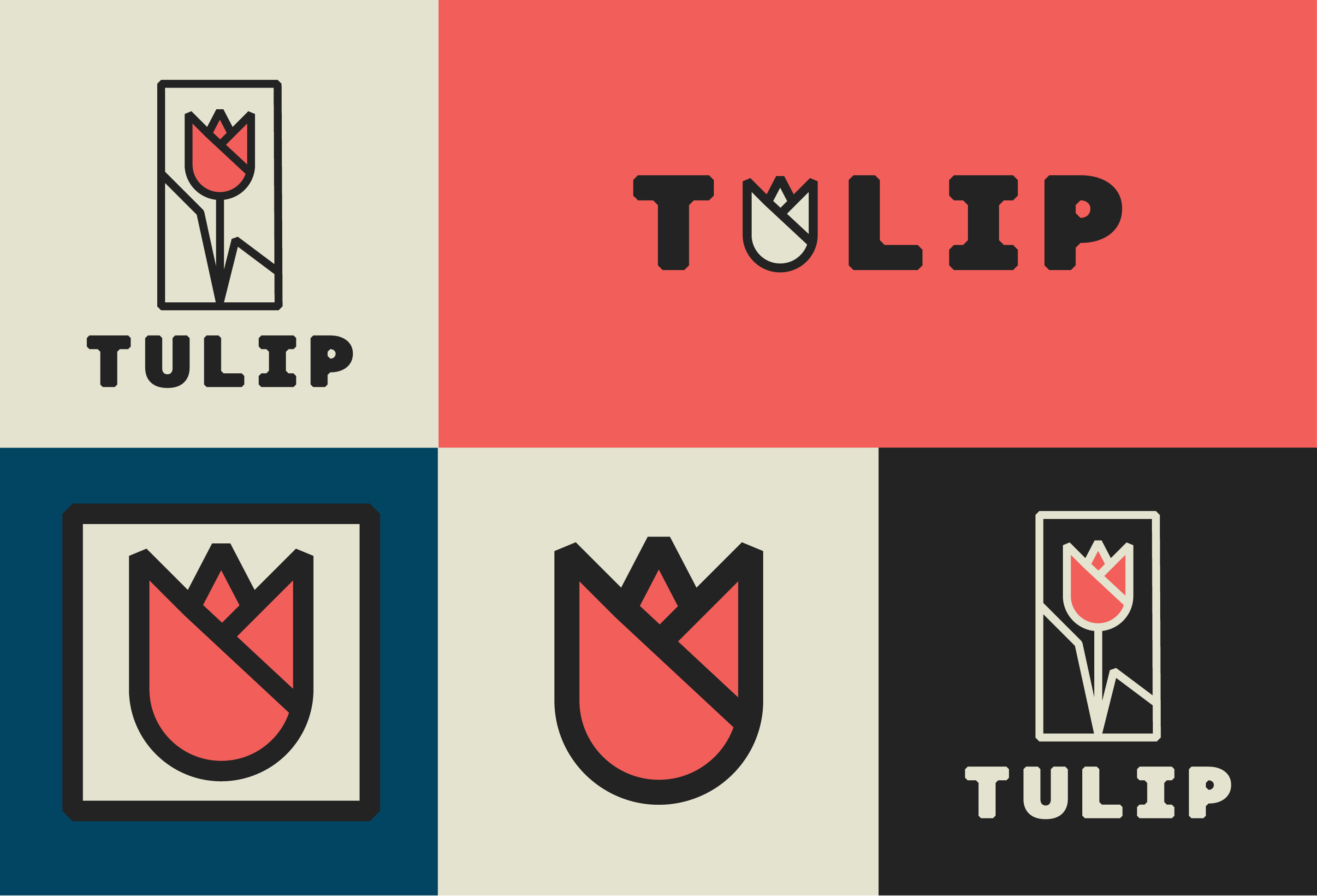 Example of Logo Design And Branding Services