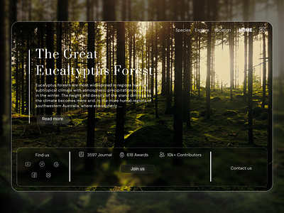 Education landing page Design dark design education forest landing page mobile ui ux web