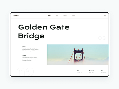 Golden Gate Bridge design ui ux web