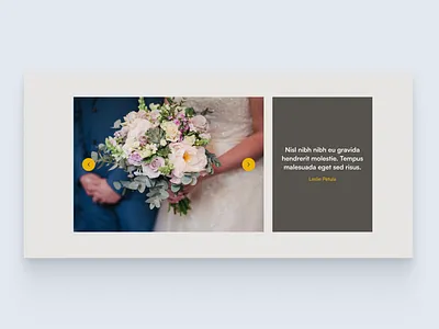 Image Gallery Slider Testimonial design design ui ui web design
