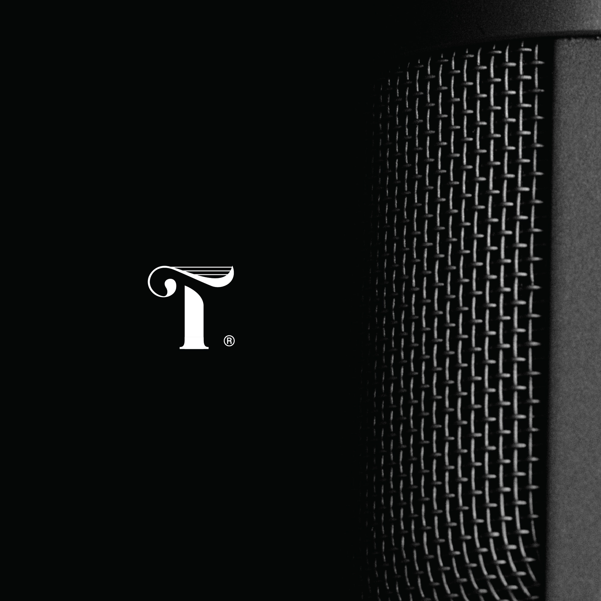 tone branding brandmark harp lettering logo logotype monogram sound tone wordmark