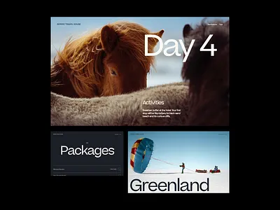 Web concept for Nordic Travel House concept layout travel travel website typography ui ui design web design