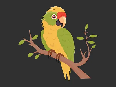 Cute Parrot vector illustration art bird branding cute decoration design graphic design illustration modern parrot print trend ui wild