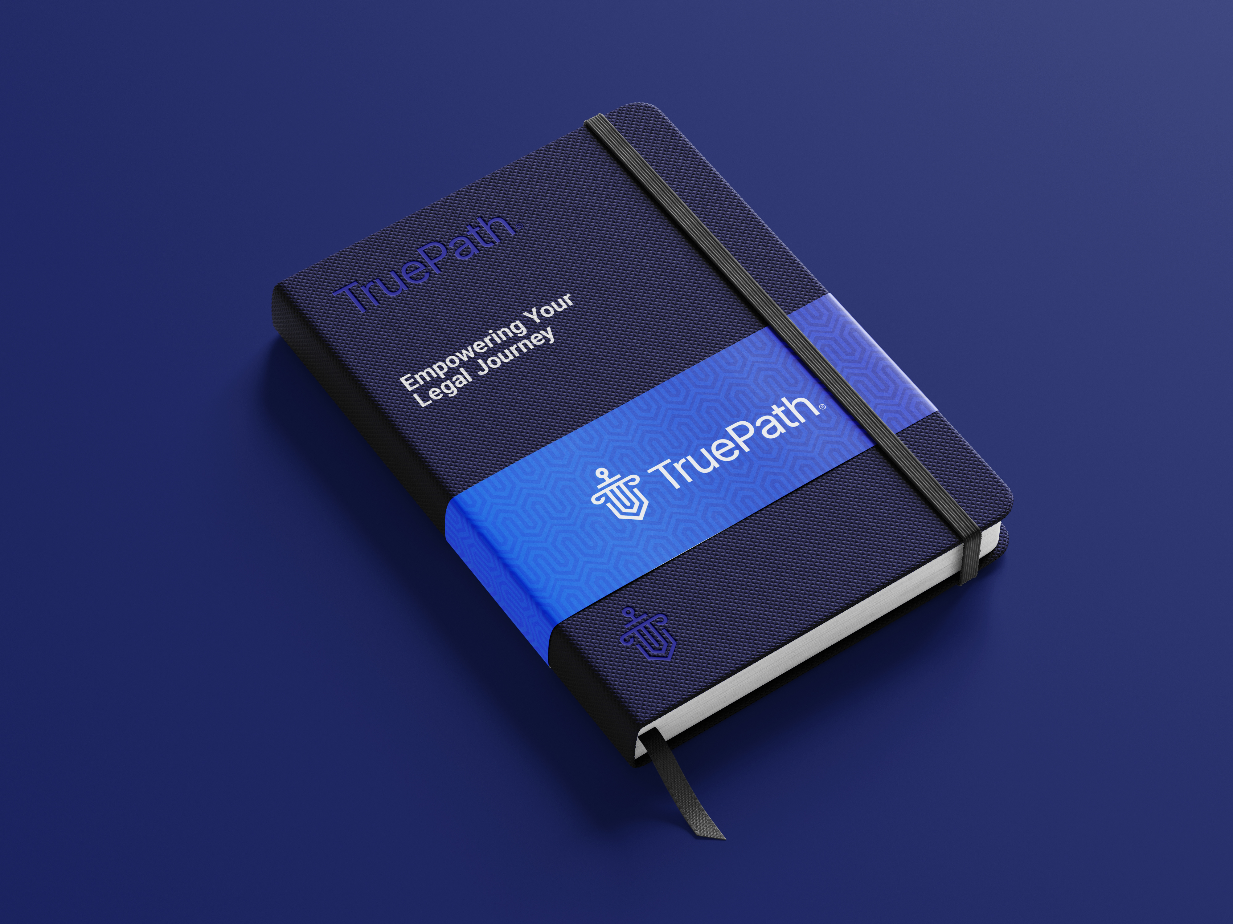 Example of Professional Law Firm Logo Design