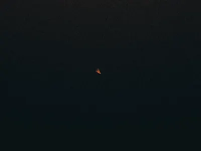 Logo animation pizza 2d animation cgi illustration loganimation logo motion design motion graphics