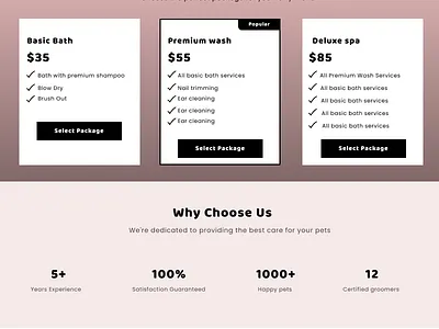 Dog Bathing Service Landing page branding design figma interaction design landing page logo product design responsive design typography ui ui graphics user research ux vector web design web ui design