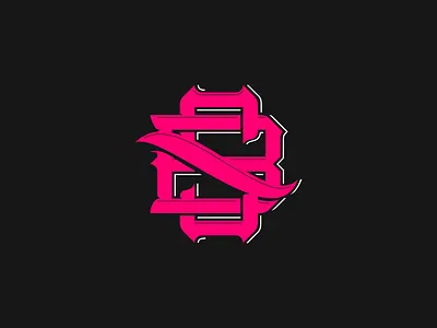 Black Soap Photography brand branding design graphic design illustration logo vector visual design