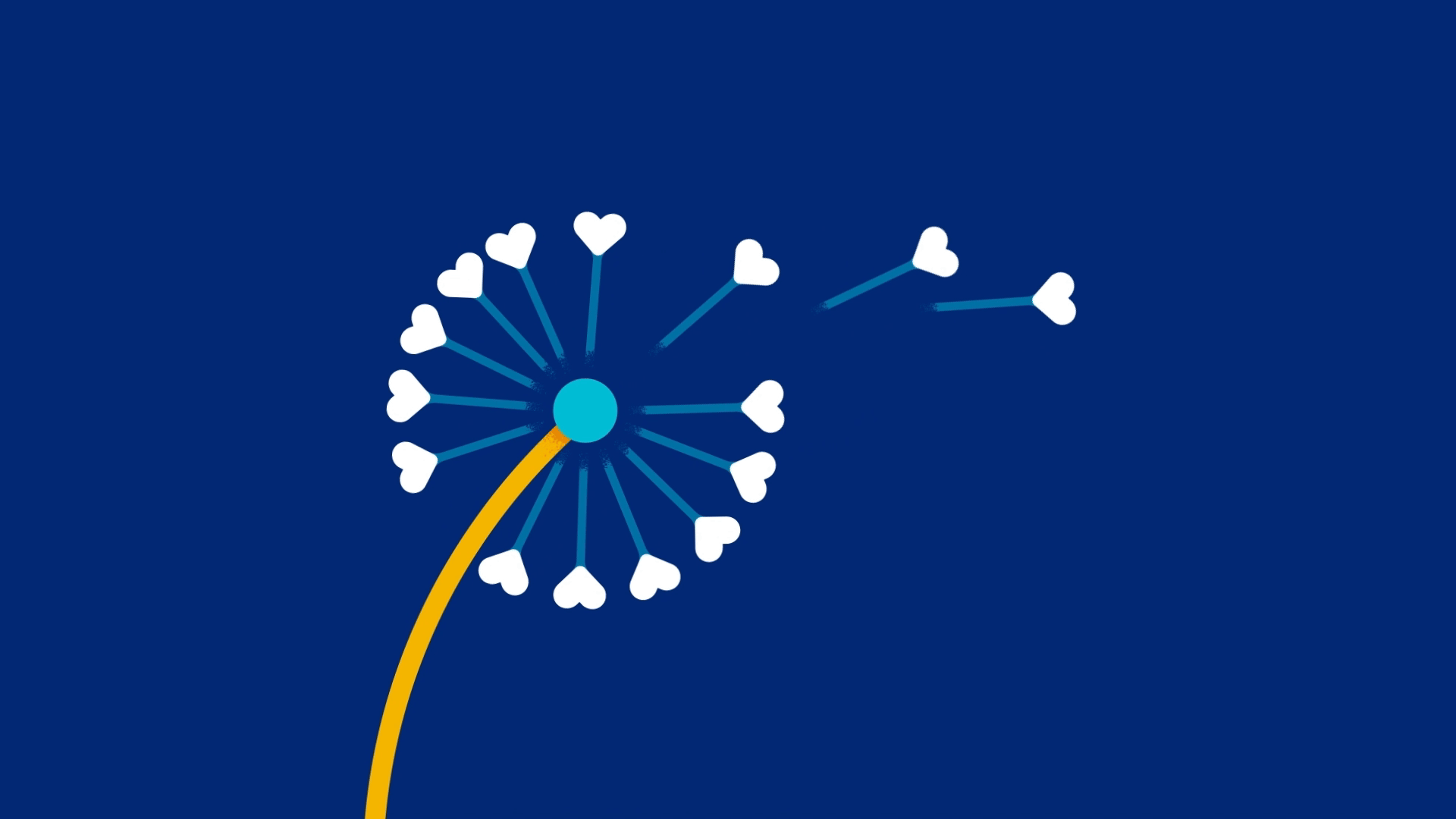 Dandelion brand care dandelion flat graphic health healthcare heart illustration illustrator lift minimal motion seeds uhc unitedhealthcare vector video wind