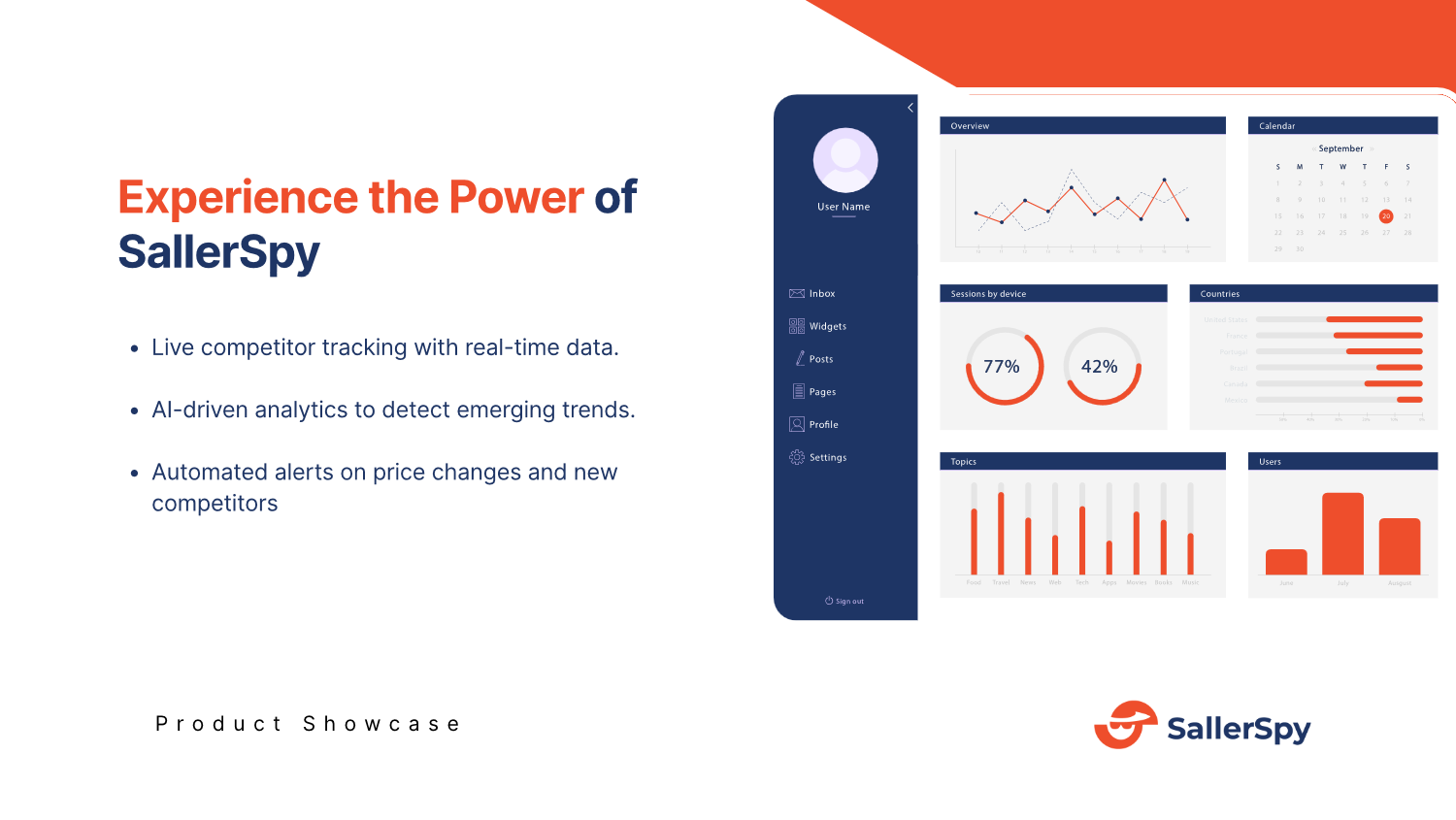 Example of Business & Investor Pitch Deck Design