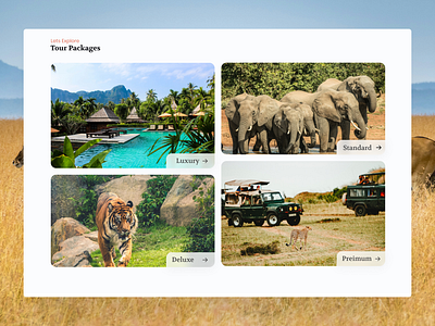 Wildlife Travel – Discover Nature 2 adventure tourism ui dribbble ui showcase eco experience ui eco travel website explore the wild forest retreat booking minimal nature travel app nature tour ux nature travel app safari tour design sustainable travel design travel booking platform travel inspiration design wildlife adventure concept wildlife travel ui