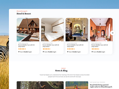Wildlife Travel – Discover Nature 3 adventure tourism ui dribbble ui showcase eco experience ui eco travel website explore the wild forest retreat booking minimal nature travel app nature tour ux nature travel app safari tour design sustainable travel design travel booking platform travel inspiration design wildlife adventure concept wildlife travel ui