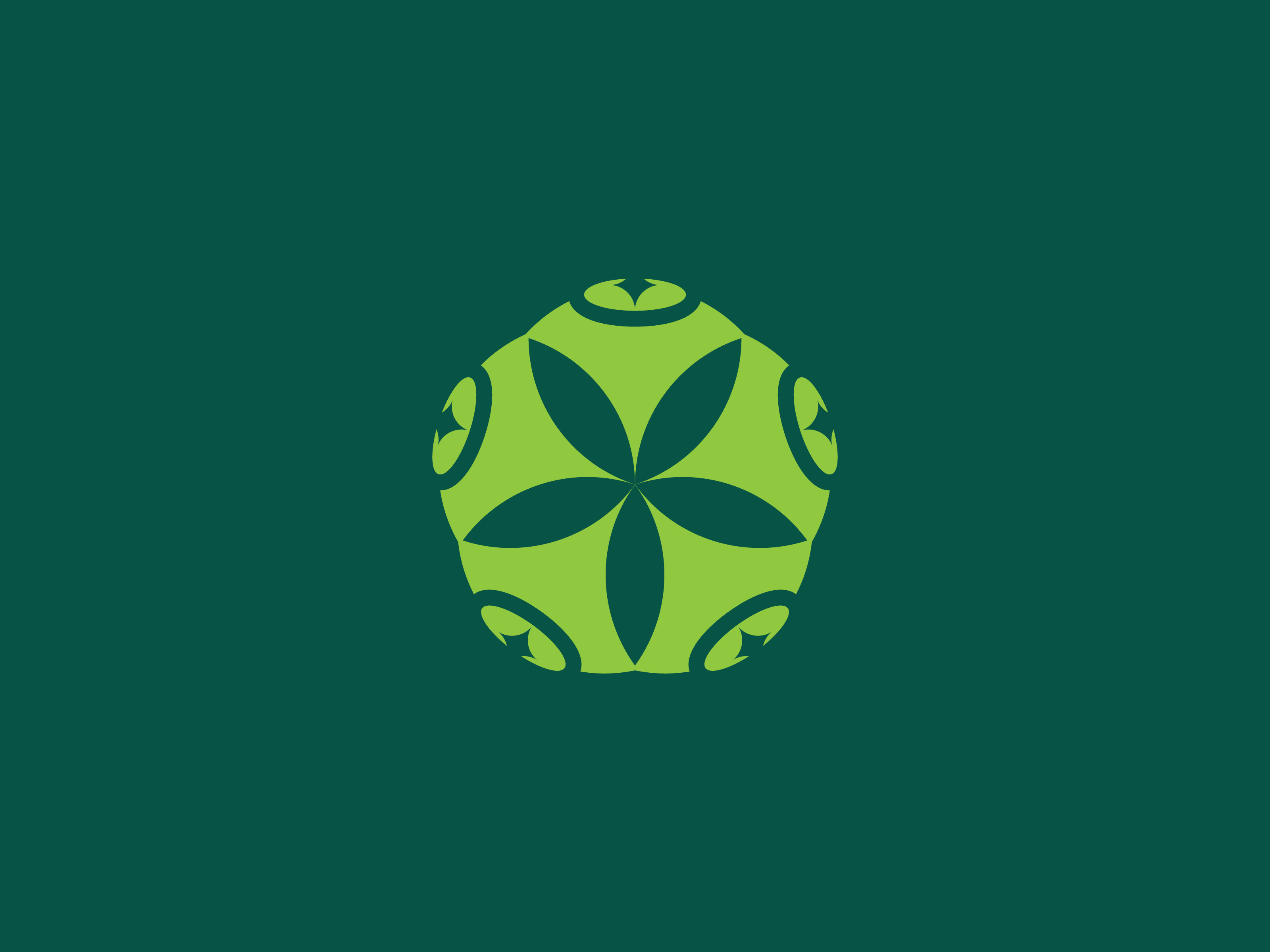 Example of Custom Medical Clinic Wellness Spa Logo