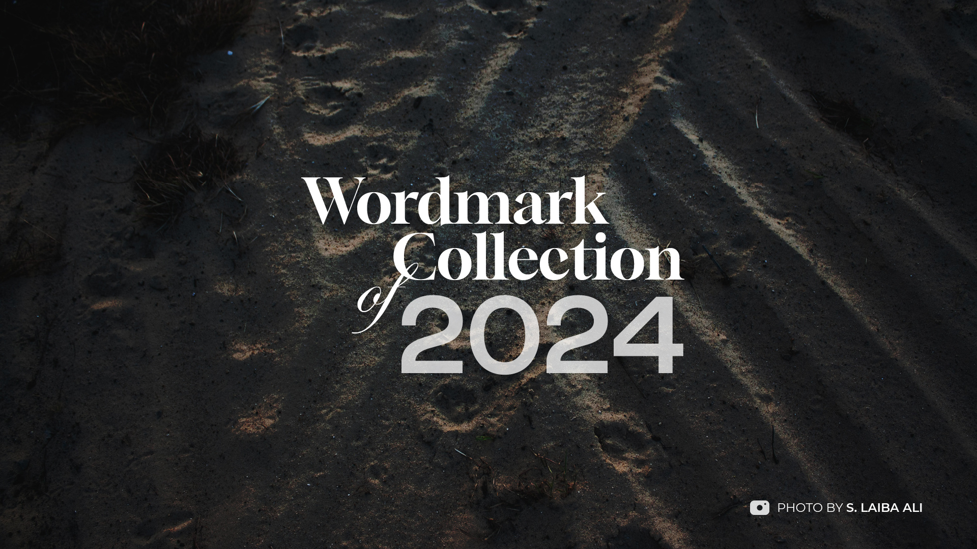 Wordmark Collection of 2024 brand branding collection design graphic lettermark logo logogram logomark minimal minimalist modern simple unique wordmark