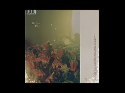 LP2403 branding design graphic design layout logo lp music photography typography vinyl