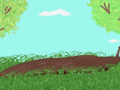 Snail in the garden II illustration snail