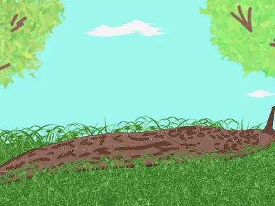 Snail in the garden III illustration snail
