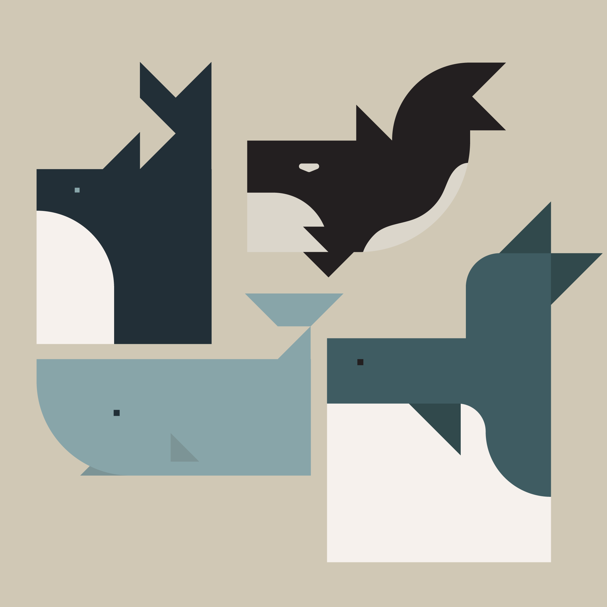 Whales adobe branding design graphic design illustration logo vector