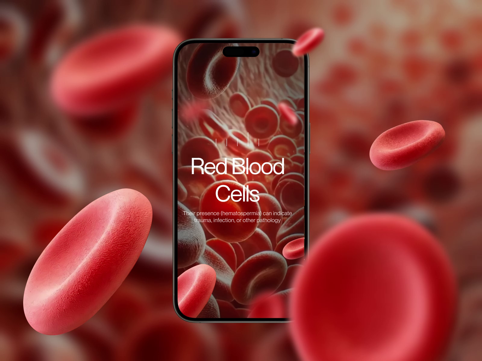 Example of Website Mobile App, Web App Redesign