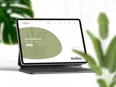 Botanikum - Plant knowledge base desgin flowers plant ui ux uxui webdesign