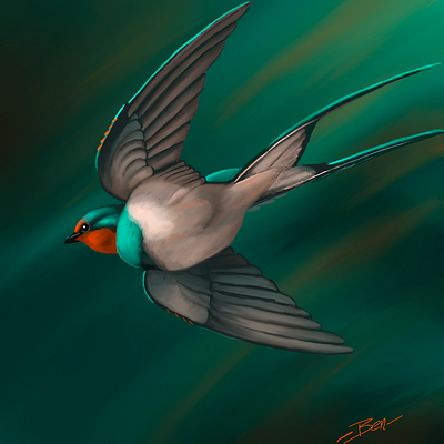 Barn Swallow color design digital painting illustration