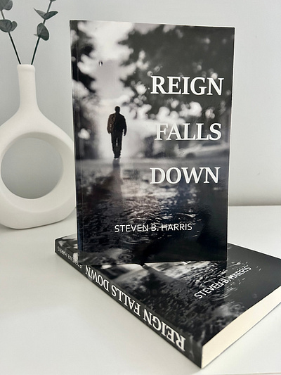 Book Cover for Reign Falls Down book book cover book cover design