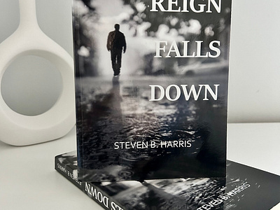 Book Cover for Reign Falls Down book book cover book cover design