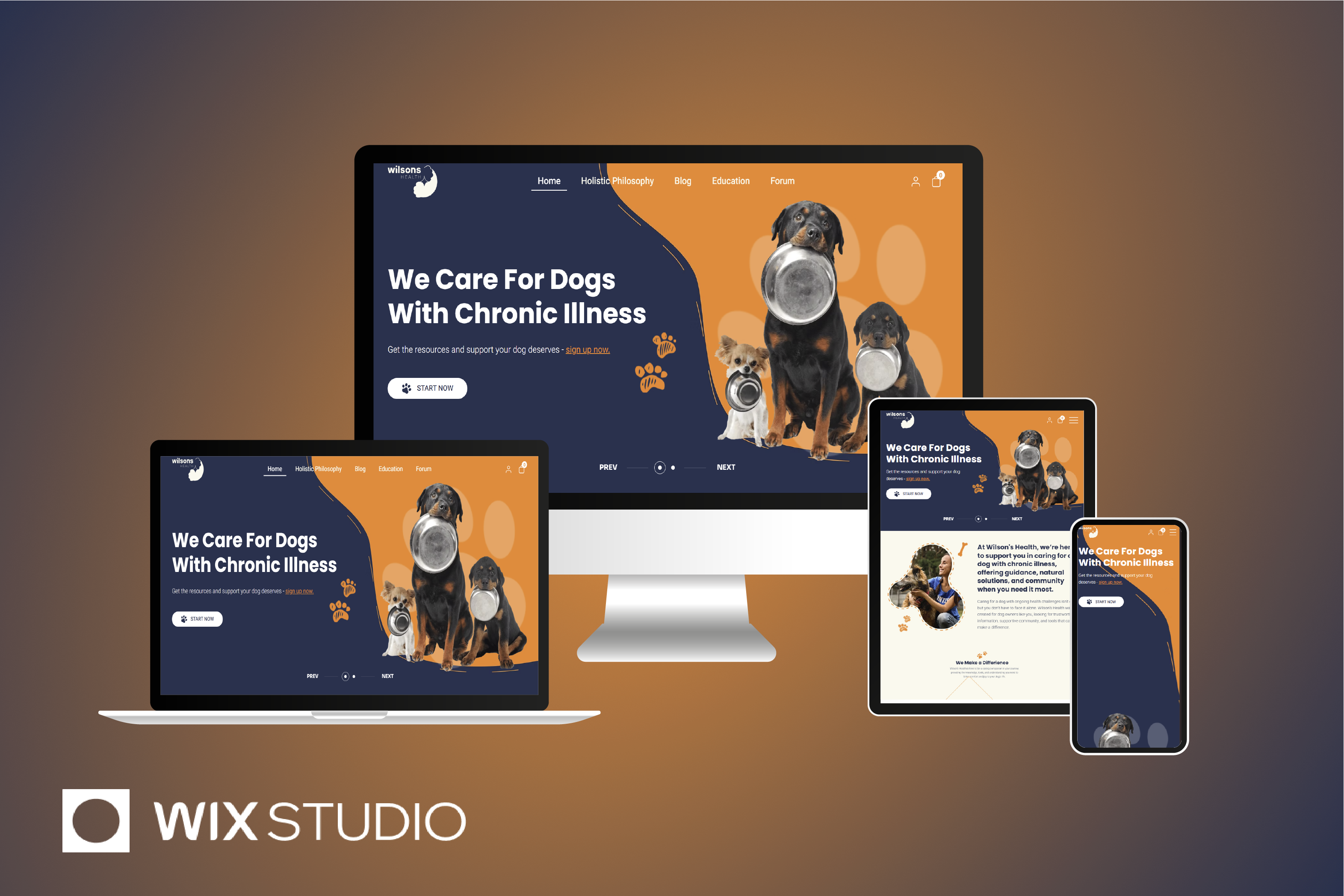 Example of Wix Website (5 Pages)