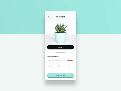 Daily UI - 002 - Credit Card Checkout 002 app color credit card checkout dailyui