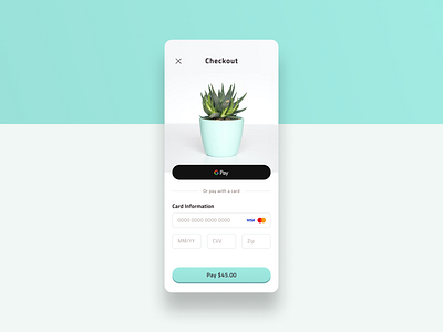 Daily UI - 002 - Credit Card Checkout 002 app color credit card checkout dailyui