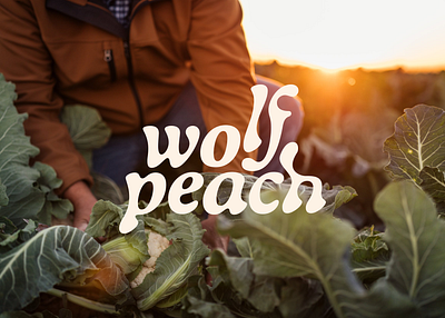 Logotype for Wolf Peach by Midsummer Studio branding graphic design logo
