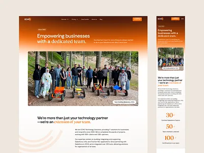 Salesforce Development agency website about about us page agency about landing agency about page agency about us web design webflow webflow website website