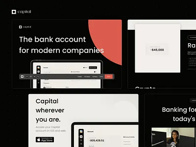 Capital website bank banking bill cash company design dollar finance finances financial investment money profit redesign study ui uidesign ux website