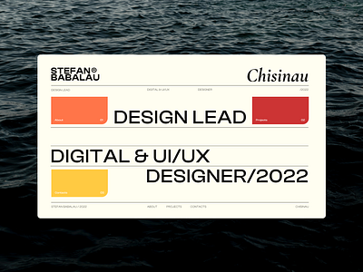 Web Screen branding design graphic design illustration logo stefanbabalau typography ui ux vector web webdesign