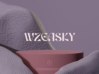 WZGASKY branding design graphic design illustration logo stefanbabalau typography ui ux vector