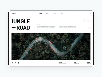 Jungle Road design ui ux web