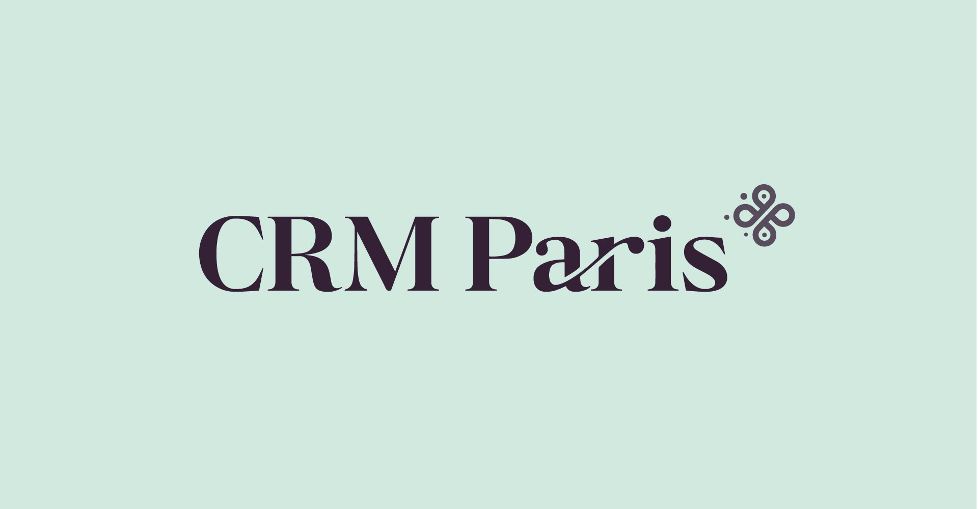 CRM Paris - Visual identity & Webdesign branding graphic design illustration landing page logo typography ui ux webdesign