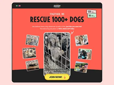 Not for Profit Landing campaign design landing page ui ux