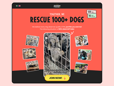 Not for Profit Landing campaign design landing page ui ux