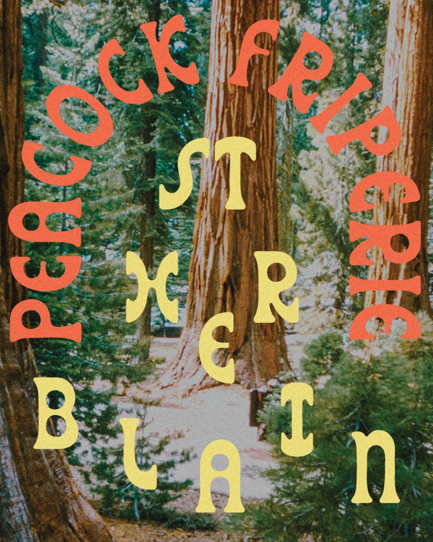 Peacock Friperie St-Herblain alternative branding california design font design fonts food and drink graphic design hippie indie local logo organic pnw portland seattle small business type type design typography