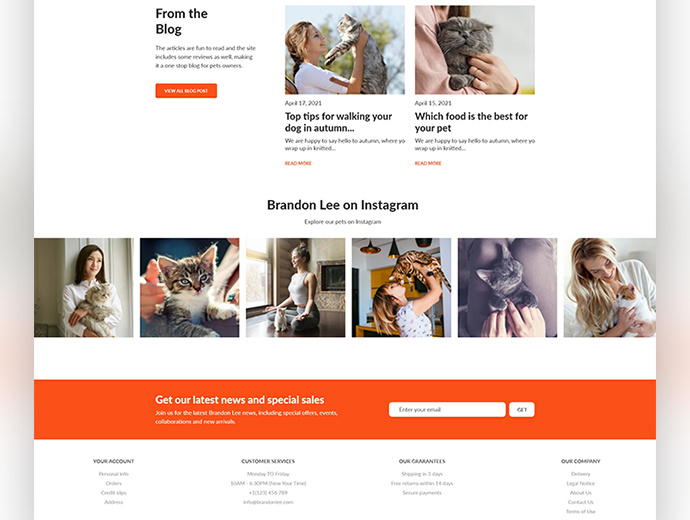Example of User Interface Design For Website