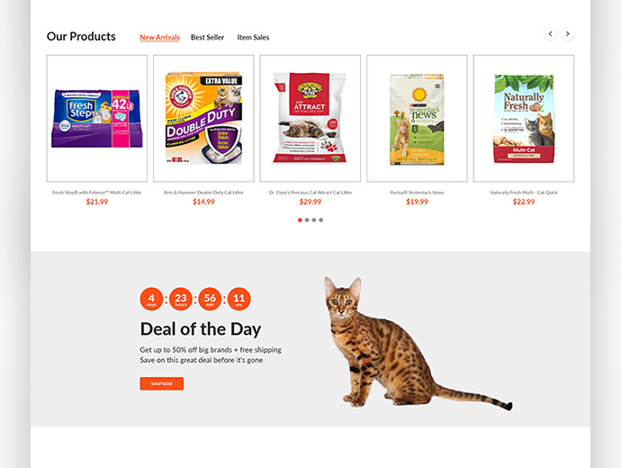 Example of User Interface Design For Website