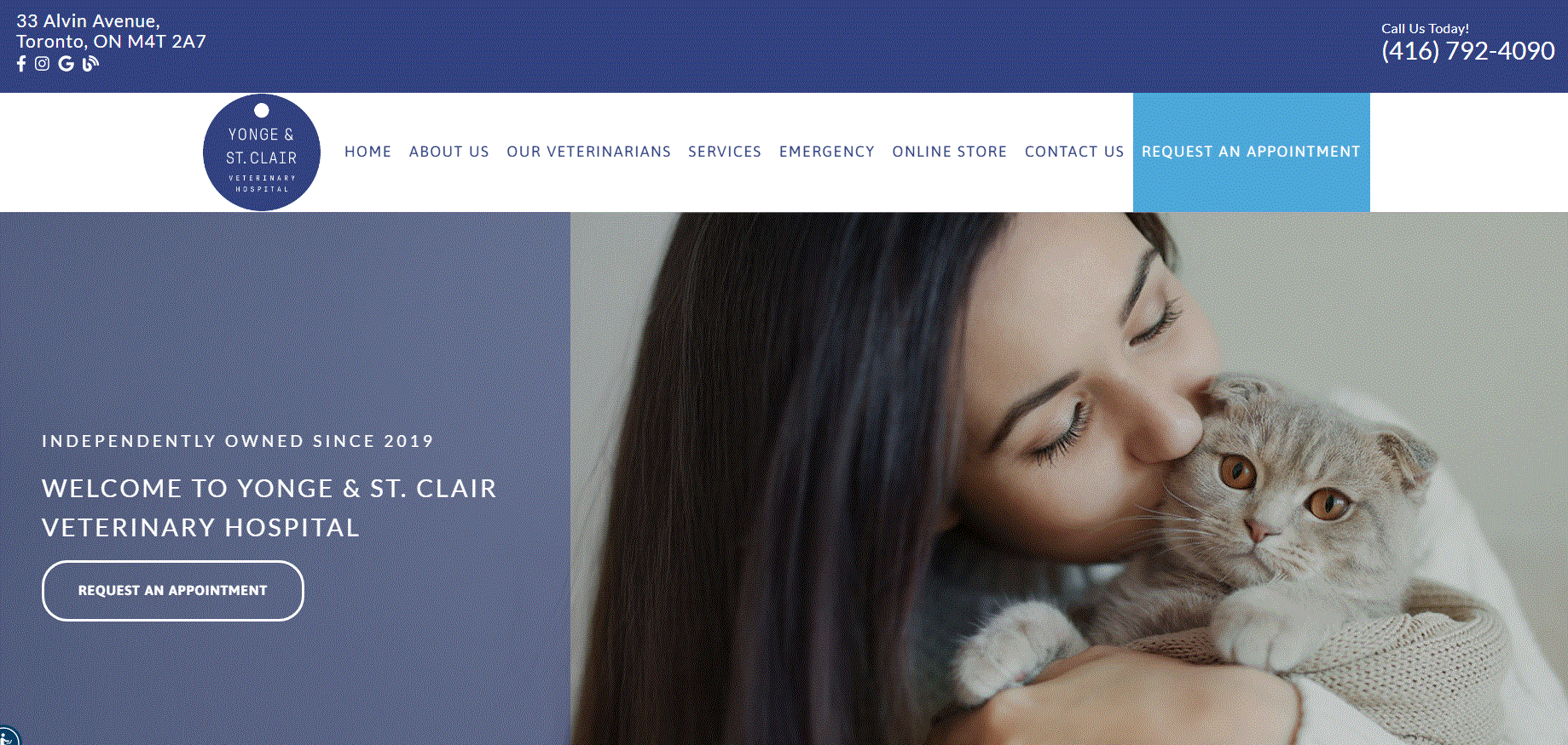 Vetenarian website design affordable vet website design custom veterinary website design modern mobile friendly sites stunning designs for pet clinics veterinary web design experts veterinary website solutions