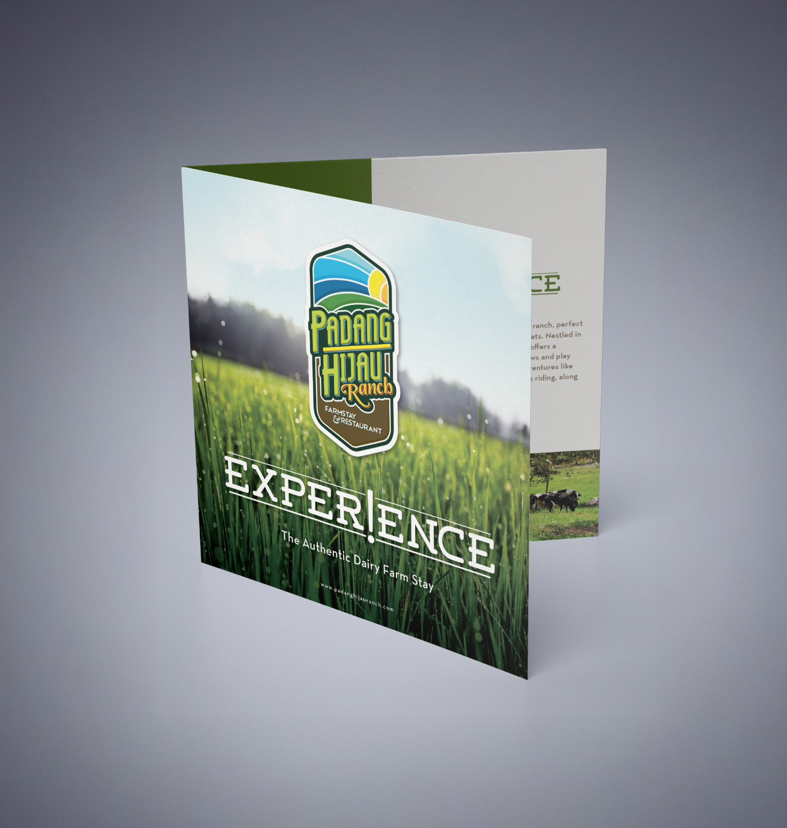 Padang Hijau Ranch – Brochure branding brochure design graphic design illustration layout logo typography vector