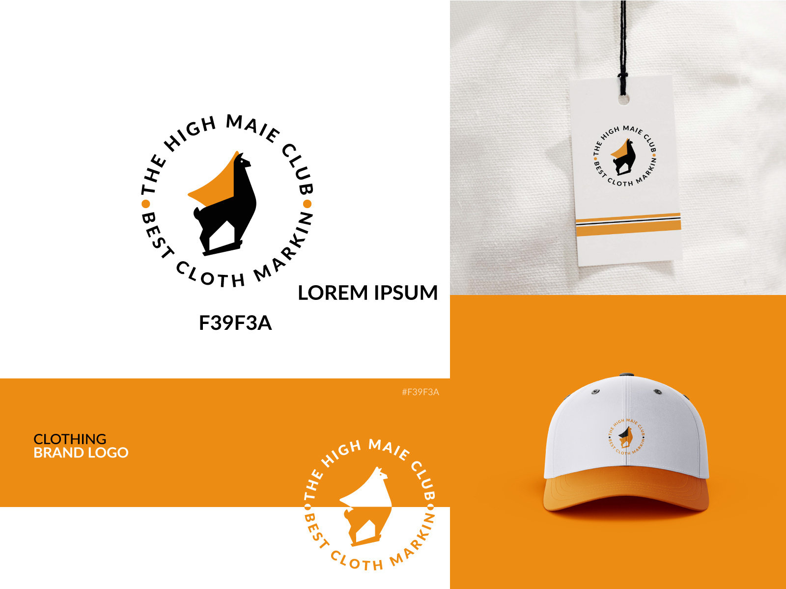 Example of Professional Logo Branding Design