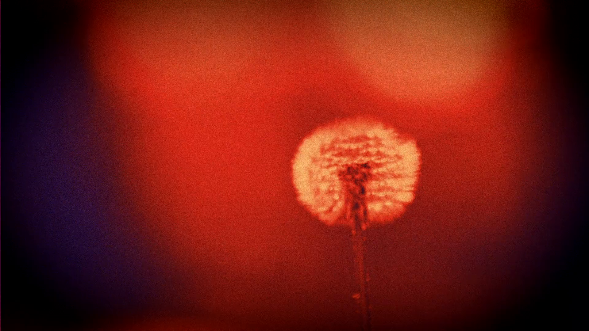 Example of Video Ad. Captivating Visual Stories.