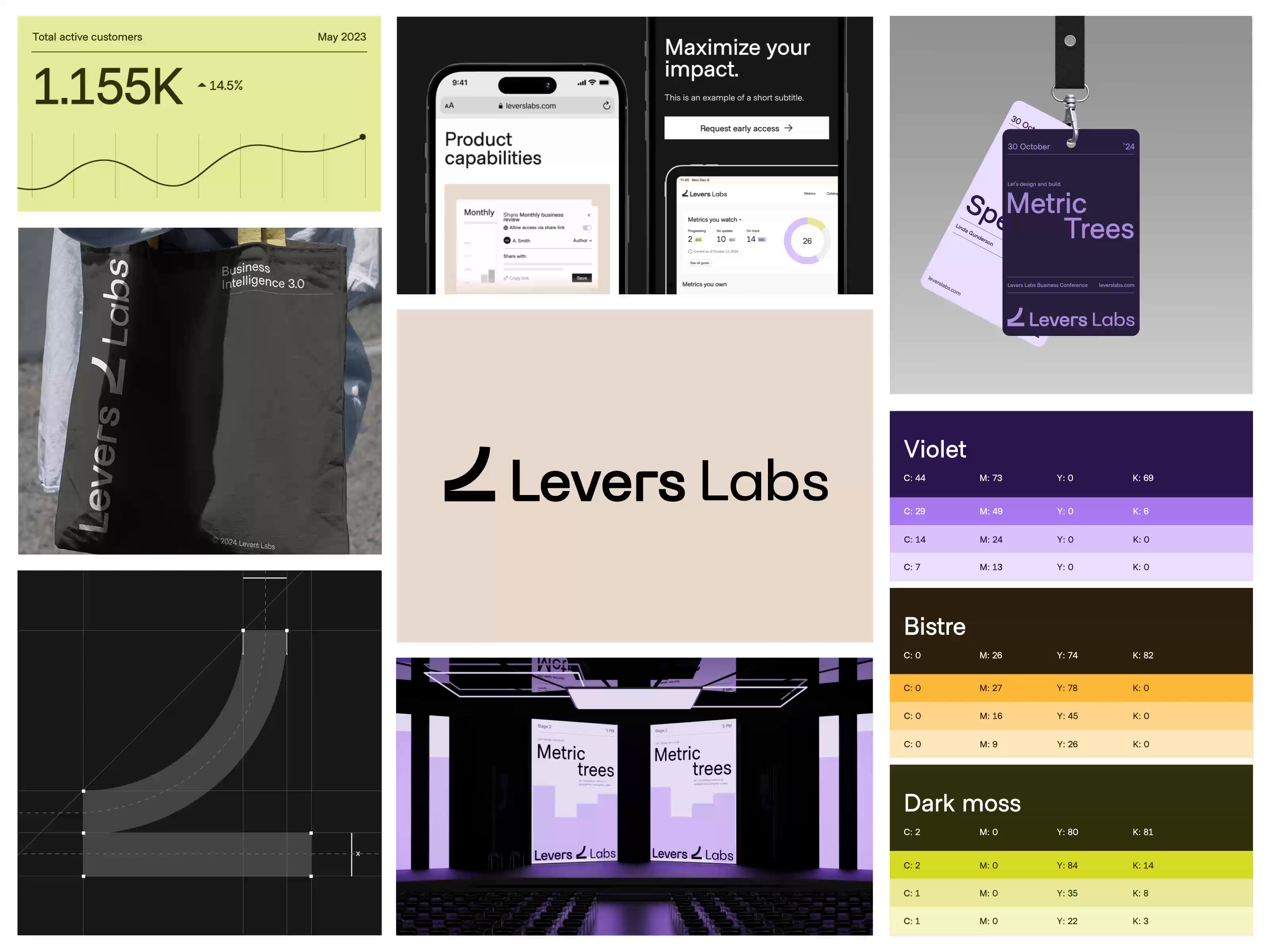 Example of Levers Labs - Case Study